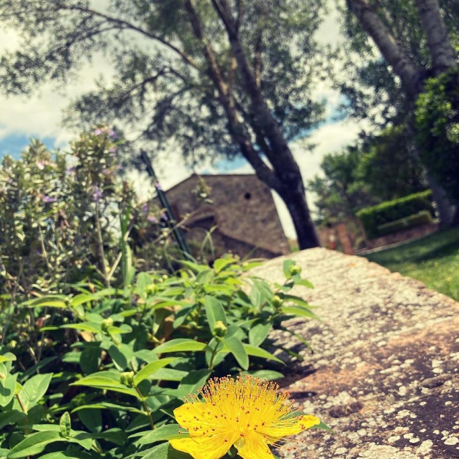 Podere La Chiusella B&B ラポラーノ・テルメ エクステリア 写真