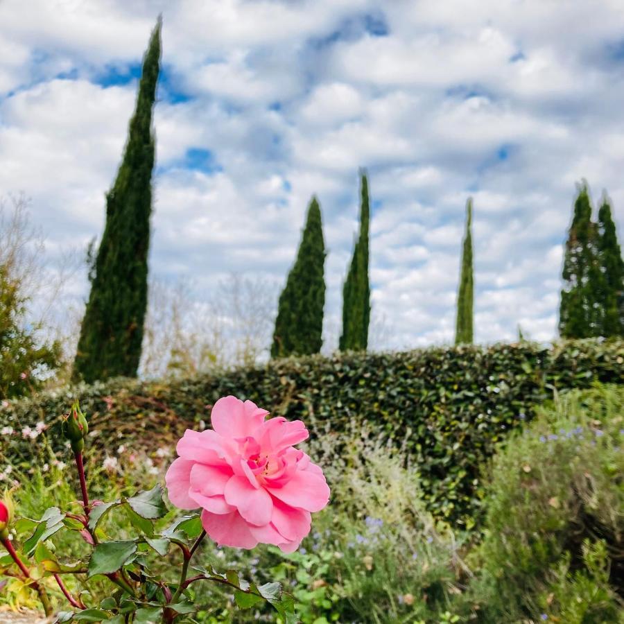 Podere La Chiusella B&B ラポラーノ・テルメ エクステリア 写真
